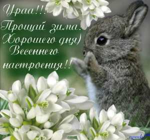 С первым днём весны Открытки первый день весны, с первым днём весны, поздравления Открытка картинка с первым днём весны, первый день весны, открытки картинки первый весенний день, 1 марта, поздравления с началом весны открытки скачать бесплатно