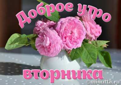 Доброе утро вторник Открытка доброе утро вторника, с добрым утром вторника, во вторник Открытка картинка доброго утра во вторник, доброе утро вторник, открытки картинки с добрым утром вторника, картинки вторник доброе утро открытки скачать бесплатно