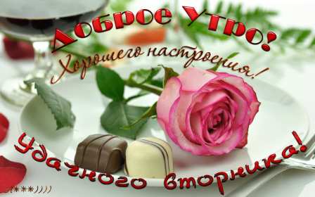 Доброе утро вторник Открытка доброе утро вторника, с добрым утром вторника, во вторник Открытка картинка доброго утра во вторник, доброе утро вторник, открытки картинки с добрым утром вторника, картинки вторник доброе утро открытки скачать бесплатно