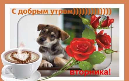 Доброе утро вторник Открытка доброе утро вторника, с добрым утром вторника, во вторник Открытка картинка доброго утра во вторник, доброе утро вторник, открытки картинки с добрым утром вторника, картинки вторник доброе утро открытки скачать бесплатно