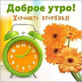 Доброе утро вторник Открытка доброе утро вторника, с добрым утром вторника, во вторник Открытка картинка доброго утра во вторник, доброе утро вторник, открытки картинки с добрым утром вторника, картинки вторник доброе утро открытки скачать бесплатно