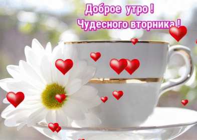 Доброе утро вторник Открытка доброе утро вторника, с добрым утром вторника, во вторник Открытка картинка доброго утра во вторник, доброе утро вторник, открытки картинки с добрым утром вторника, картинки вторник доброе утро открытки скачать бесплатно