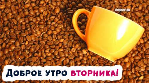 Доброе утро вторник Открытка доброе утро вторника, с добрым утром вторника, во вторник Открытка картинка доброго утра во вторник, доброе утро вторник, открытки картинки с добрым утром вторника, картинки вторник доброе утро открытки скачать бесплатно