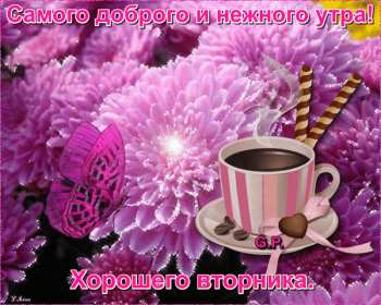 Доброе утро вторник Открытка доброе утро вторника, с добрым утром вторника, во вторник Открытка картинка доброго утра во вторник, доброе утро вторник, открытки картинки с добрым утром вторника, картинки вторник доброе утро открытки скачать бесплатно