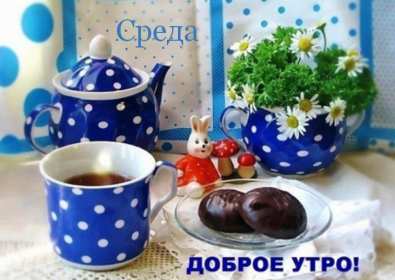 Доброе утро среда Открытка доброе утро среда, с добрым утром среды, в среду . Открытка картинка доброго утра среды, доброе утро среды, открытки картинки с добрым утро среды, в среду, утро в среду, красивая открытка доброе утро среды скачать бесплатно