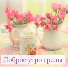 Доброе утро среда Открытка доброе утро среда, с добрым утром среды, в среду . Открытка картинка доброго утра среды, доброе утро среды, открытки картинки с добрым утро среды, в среду, утро в среду, красивая открытка доброе утро среды скачать бесплатно