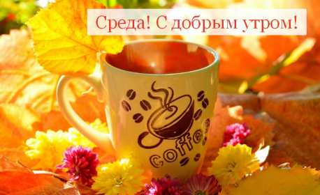 Доброе утро среда Открытка доброе утро среда, с добрым утром среды, в среду . Открытка картинка доброго утра среды, доброе утро среды, открытки картинки с добрым утро среды, в среду, утро в среду, красивая открытка доброе утро среды скачать бесплатно