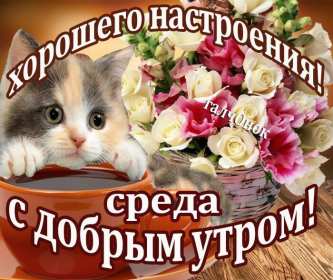 Доброе утро среда Открытка доброе утро среда, с добрым утром среды, в среду . Открытка картинка доброго утра среды, доброе утро среды, открытки картинки с добрым утро среды, в среду, утро в среду, красивая открытка доброе утро среды скачать бесплатно