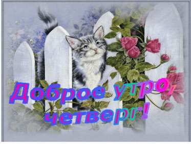 Доброе утро четверг Открытка доброе утро четверг, с добрым утром четверга, в четверг Открытка картинка доброго утра четверга, с добрым утром четверг, открытки картинки доброе утро, утречко четверга, красивая открытка утро в четверг скачать бесплатно