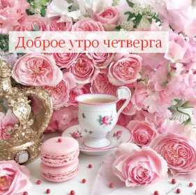 Доброе утро четверг Открытка доброе утро четверг, с добрым утром четверга, в четверг Открытка картинка доброго утра четверга, с добрым утром четверг, открытки картинки доброе утро, утречко четверга, красивая открытка утро в четверг скачать бесплатно