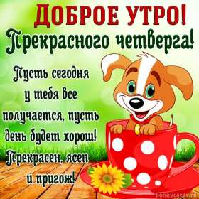 Доброе утро четверг Открытка доброе утро четверг, с добрым утром четверга, в четверг Открытка картинка доброго утра четверга, с добрым утром четверг, открытки картинки доброе утро, утречко четверга, красивая открытка утро в четверг скачать бесплатно