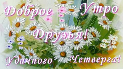 Доброе утро четверг Открытка доброе утро четверг, с добрым утром четверга, в четверг Открытка картинка доброго утра четверга, с добрым утром четверг, открытки картинки доброе утро, утречко четверга, красивая открытка утро в четверг скачать бесплатно
