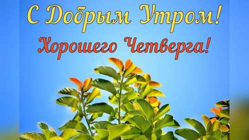 Доброе утро четверг Открытка доброе утро четверг, с добрым утром четверга, в четверг Открытка картинка доброго утра четверга, с добрым утром четверг, открытки картинки доброе утро, утречко четверга, красивая открытка утро в четверг скачать бесплатно