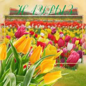 Открытка! Открытка с весенним праздником Наурыз 22 марта, поздравления с Наурызом