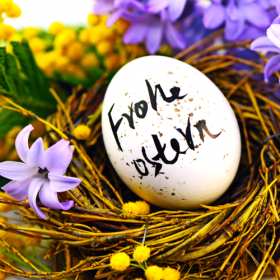 Пасха на немецком языке Открытка с пасхой на немецком языке, с праздником пасха на немецком Открытка картинка на немецком языке с пасхой, на пасху, с праздником пасхи на немецком языке, красивые, яркие открытки картинки с пасхой на немецком языке скачать бесплатно