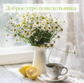 Открытка! Открытки доброе утро понедельник, с добрым утром понедельника