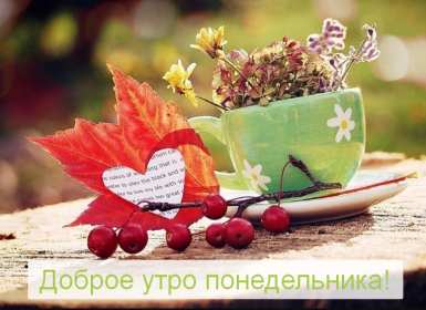 Открытка! Открытки доброе утро понедельник, с добрым утром понедельника