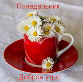 Открытка! Открытки доброе утро понедельник, с добрым утром понедельника