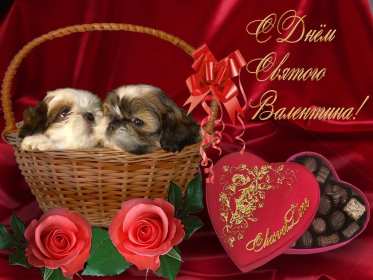 День влюблённых 14 февраля Открытки с праздником день влюблённых, день святого Валентина. Картинка открытка день влюблённых, на день влюблённых 14 февраля, картинки открытки с днём святого Валентина 14 февраля, красивая открытка день влюблённых скачать бесплатно