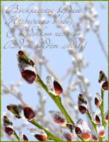 Вербное Воскресенье Открытка Вербное Воскресенье, с праздником Вербное Воскресенье Открытки картинки на вербное Воскресенье, поздравления с вербным, православный праздник вербное Воскресенье, открытка картинка с вербным Воскресеньем скачать бесплатно