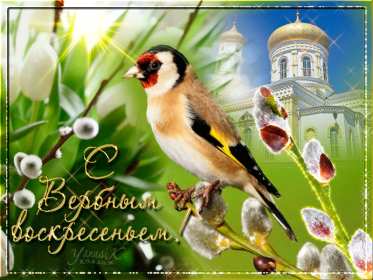 Вербное Воскресенье Открытка Вербное Воскресенье, с праздником Вербное Воскресенье Открытки картинки на вербное Воскресенье, поздравления с вербным, православный праздник вербное Воскресенье, открытка картинка с вербным Воскресеньем скачать бесплатно