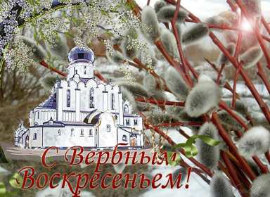 Вербное Воскресенье Открытка с Вербным Воскресеньем, с светлым праздником Вербное Открытка картинка Вербное Воскресенье, с праздником Вербное Воскресенье, открытки картинки на вербное, с вербным, поздравления с праздником вербное Воскресенье .