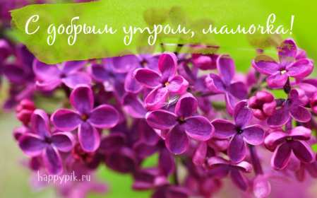 Доброе утро! Мама Открытка с добрым утром мама, мамочка, мамуля, Доброго утра мама! Картинка открытка с пожеланиями доброго утра маме. С добрым утром мама. Дорогая мама! Красивые открытки с для мамы с добрым утром. Картинки доброе утро мама, мамочка. Скачать бесплатно.