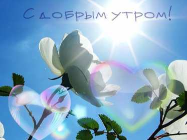 Доброе утро! Открытки с добрым утром! На фоне красивой природы. с восходом солнца. Горы, река, деревья. Красивые картинки. Доброе утро! Надпись с пожеланием доброго утра. Природа восход солнца, лучи. Река. Горы. Отдых. Хорошие атмосферные фоны. Приятные цвета. Читаемый текст. Доброго утра!