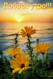 Доброе утро! Открытки с добрым утром! На фоне красивой природы. с восходом солнца. Горы, река, деревья. Красивые картинки. Доброе утро! Надпись с пожеланием доброго утра. Природа восход солнца, лучи. Река. Горы. Отдых. Хорошие атмосферные фоны. Приятные цвета. Читаемый текст. Доброго утра!