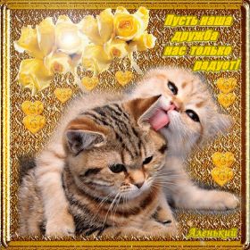 Открытка. Открытки Для друзей Картинка дружба, надпись для друзей, моим друзьям, спасибо за дружбу Картинка дружба, надпись для друзей, моим друзьям, спасибо за дружбу, моим друзьям с любовью, для вас друзья, картинка для друга, открытка для друга, благодарность для друзей