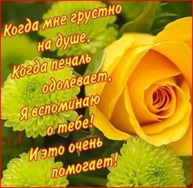 Открытка. Открытки Для друзей Картинка дружба, надпись для друзей, моим друзьям, спасибо за дружбу Картинка дружба, надпись для друзей, моим друзьям, спасибо за дружбу, моим друзьям с любовью, для вас друзья, картинка для друга, открытка для друга, благодарность для друзей