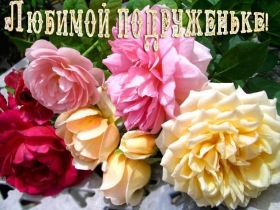 Открытка. Открытки Для друзей Картинка дружба, надпись для друзей, моим друзьям, спасибо за дружбу Картинка дружба, надпись для друзей, моим друзьям, спасибо за дружбу, моим друзьям с любовью, для вас друзья, картинка для друга, открытка для друга, благодарность для друзей