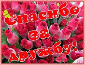 Открытка. Открытки Для друзей Открытка для друга, картинка для друзей, моим друзьям, картинка дружба Открытка для друга, картинка для друзей, моим друзьям, картинка дружба, картинка спасибо за дружбу, открытка спасибо за дружбу, надпись моим друзьям, я люблю своих друзей, моим друзьям с любовью