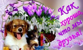 Открытка. Открытки Для друзей Открытка для друга, картинка для друзей, моим друзьям, картинка дружба Открытка для друга, картинка для друзей, моим друзьям, картинка дружба, картинка спасибо за дружбу, открытка спасибо за дружбу, надпись моим друзьям, я люблю своих друзей, моим друзьям с любовью