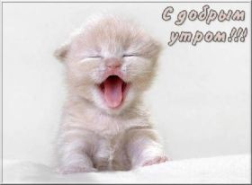 Открытка. Открытки доброе утро Открытка доброе утро, картинка с добрым утром, надпись доброе утро Открытка доброе утро, открытка с добрым утром, картинка доброе утро, картинка с добрым утром, надпись доброе утро, надпись с добрым утром, картинка завтрак, пожелание доброго утра