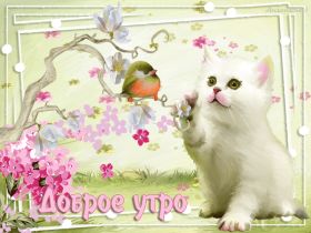 Открытка. Открытки доброе утро Открытка доброе утро, картинка с добрым утром, надпись доброе утро Открытка доброе утро, открытка с добрым утром, картинка доброе утро, картинка с добрым утром, надпись доброе утро, надпись с добрым утром, картинка завтрак, пожелание доброго утра