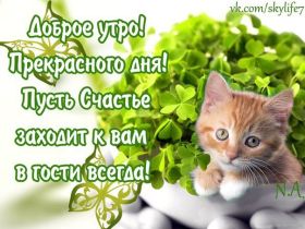 Открытка. Открытки доброе утро Открытка доброе утро, картинка с добрым утром, надпись доброе утро Открытка доброе утро, открытка с добрым утром, картинка доброе утро, картинка с добрым утром, надпись доброе утро, надпись с добрым утром, картинка завтрак, пожелание доброго утра