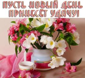 Открытка. Открытки доброе утро Открытка доброе утро, картинка с добрым утром, надпись доброе утро Открытка доброе утро, открытка с добрым утром, картинка доброе утро, картинка с добрым утром, надпись доброе утро, надпись с добрым утром, картинка завтрак, пожелание доброго утра