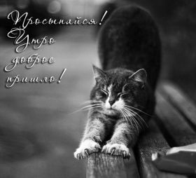 Открытка. Открытки доброе утро Открытка доброе утро, картинка с добрым утром, надпись доброе утро Открытка доброе утро, открытка с добрым утром, картинка доброе утро, картинка с добрым утром, надпись доброе утро, надпись с добрым утром, картинка завтрак, пожелание доброго утра