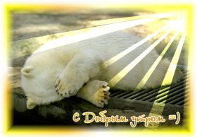 Открытка. Открытки доброе утро Открытка доброе утро, картинка с добрым утром, надпись доброе утро Открытка доброе утро, открытка с добрым утром, картинка доброе утро, картинка с добрым утром, надпись доброе утро, надпись с добрым утром, картинка завтрак, пожелание доброго утра