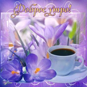 Открытка. Открытки доброе утро Открытка доброе утро, картинка с добрым утром, надпись доброе утро Открытка доброе утро, открытка с добрым утром, картинка доброе утро, картинка с добрым утром, надпись доброе утро, надпись с добрым утром, картинка завтрак, пожелание доброго утра