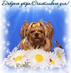 Открытка. Открытки доброе утро Открытка доброе утро, картинка с добрым утром, надпись доброе утро Открытка доброе утро, открытка с добрым утром, картинка доброе утро, картинка с добрым утром, надпись доброе утро, надпись с добрым утром, картинка завтрак, пожелание доброго утра