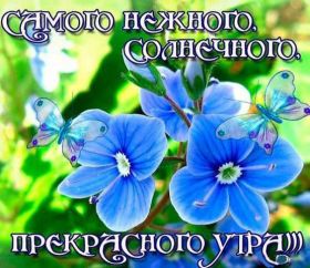 Открытка. Открытки доброе утро Открытка доброе утро, картинка с добрым утром, надпись доброе утро Открытка доброе утро, открытка с добрым утром, картинка доброе утро, картинка с добрым утром, надпись доброе утро, надпись с добрым утром, картинка завтрак, пожелание доброго утра