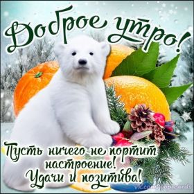 Открытка. Открытки доброе утро Открытка доброе утро, картинка с добрым утром, надпись доброе утро Открытка доброе утро, открытка с добрым утром, картинка доброе утро, картинка с добрым утром, надпись доброе утро, надпись с добрым утром, картинка завтрак, пожелание доброго утра