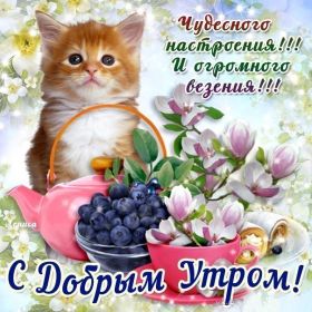 Открытка. Открытки доброе утро Открытка доброе утро, картинка с добрым утром, надпись доброе утро Открытка доброе утро, открытка с добрым утром, картинка доброе утро, картинка с добрым утром, надпись доброе утро, надпись с добрым утром, картинка завтрак, пожелание доброго утра