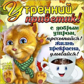 Открытка. Открытки доброе утро Открытка доброе утро, картинка с добрым утром, надпись доброе утро Открытка доброе утро, открытка с добрым утром, картинка доброе утро, картинка с добрым утром, надпись доброе утро, надпись с добрым утром, картинка завтрак, пожелание доброго утра