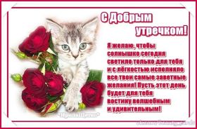 Открытка. Открытки доброе утро Открытка доброе утро, картинка с добрым утром, надпись доброе утро Открытка доброе утро, открытка с добрым утром, картинка доброе утро, картинка с добрым утром, надпись доброе утро, надпись с добрым утром, картинка завтрак, пожелание доброго утра