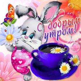Открытка. Открытки доброе утро Открытка доброе утро, картинка с добрым утром, надпись доброе утро Открытка доброе утро, открытка с добрым утром, картинка доброе утро, картинка с добрым утром, надпись доброе утро, надпись с добрым утром, картинка завтрак, пожелание доброго утра