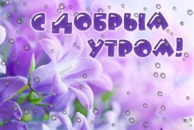 Открытка. Открытки доброе утро Открытка доброе утро, картинка с добрым утром, надпись доброе утро Открытка доброе утро, открытка с добрым утром, картинка доброе утро, картинка с добрым утром, надпись доброе утро, надпись с добрым утром, картинка завтрак, пожелание доброго утра