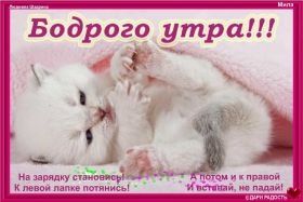 Открытка. Открытки доброе утро Открытка доброе утро, картинка с добрым утром, надпись доброе утро Открытка доброе утро, открытка с добрым утром, картинка доброе утро, картинка с добрым утром, надпись доброе утро, надпись с добрым утром, картинка завтрак, пожелание доброго утра